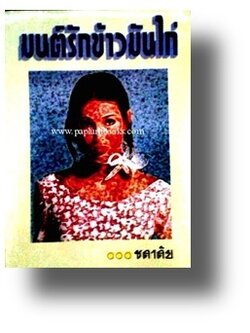 มนต์รักข้าวมันไก่/ ชลาลัย