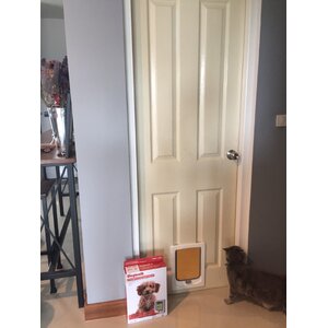 ประตูแมวติดประตูไม้