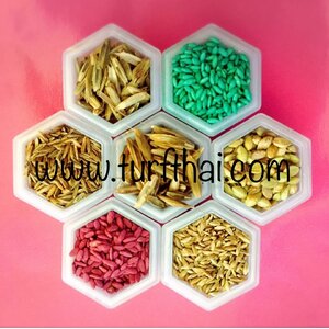 เมล็ดพันธุ์หญ้าสนาม