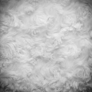 Polyester Wiper ผ้าโพลีเอสเตอร์