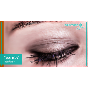 "ขนตาร่วง" วันละกี่เส้น ?