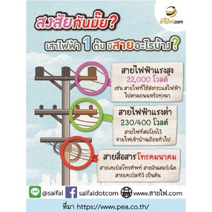 เสาไฟฟ้า 1 ต้น มีสายอะไรบ้าง? [สาระดีๆจาก สายไฟ.com]