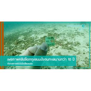 เผยภาพคลิปล็อกถุงขนมปังจมทะเลนานกว่า 10 ปี