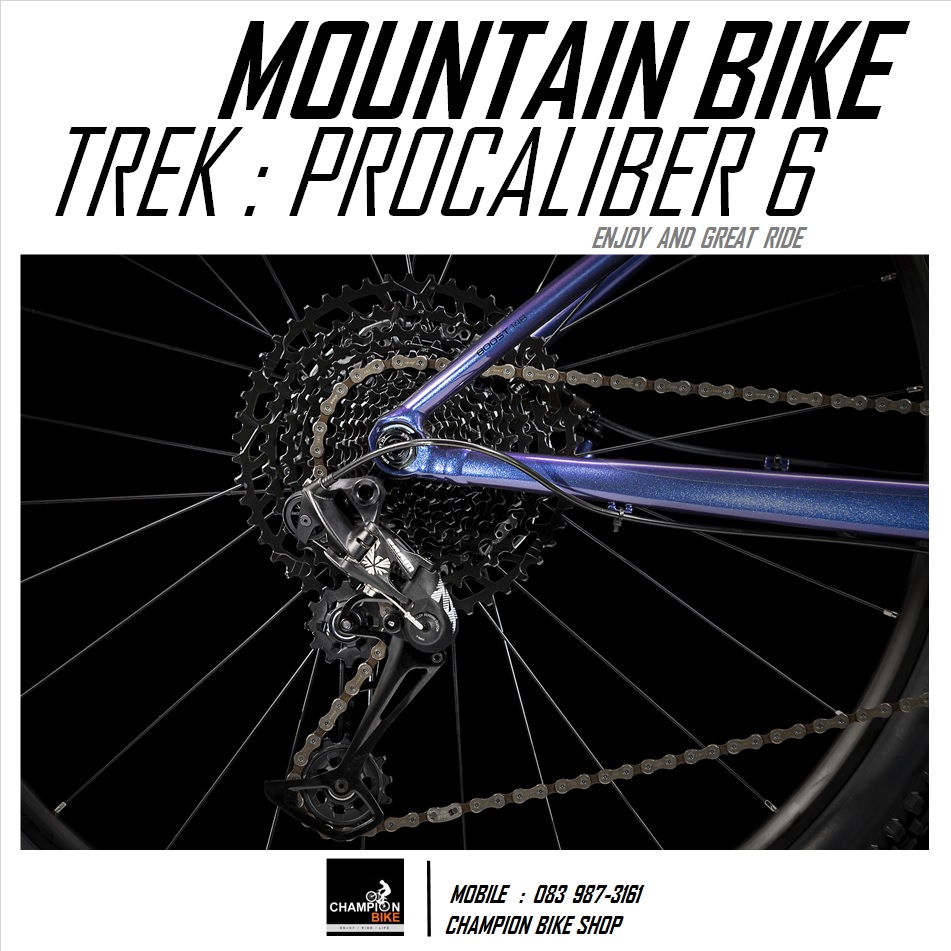 จักรยานเสือภูเขา TREK : PROCALIBER 6 MOUNTAIN BIKE - 2020 สีม่วง-ดำ