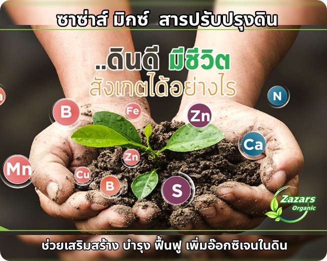 ซาซ่าส์ มิกซ์ (สารปรับปรุงดิน)