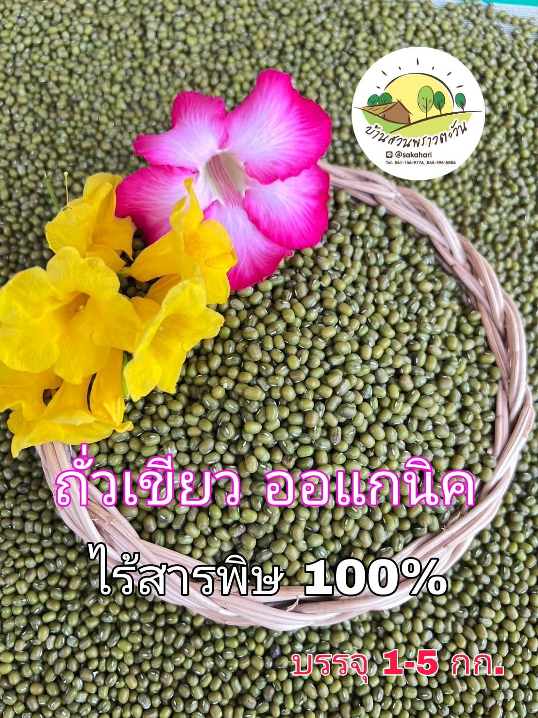 ถั่วเขียว ถั่วเขียวออแกนิค ถั่วเขียวไร้สารพิษ 100%