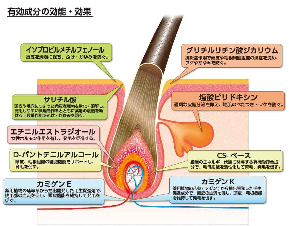 Strong Kaminomoto A Tonic (Higher Strength - Hair Regrowth) เซรั่มปลูกผมจากธรรมชาติ (สูตรไม่มีกลิ่น) ป้องกันผมร่วงและผมบาง (ฉลากญี่ปุ่น) 150 มล.