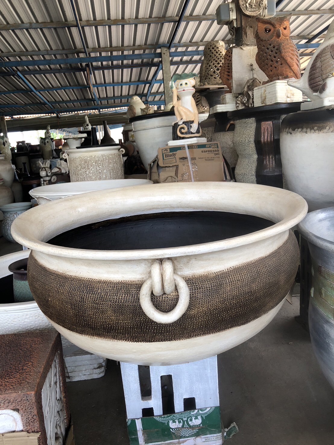 กระถางไม้น้ำ อ่างบัว