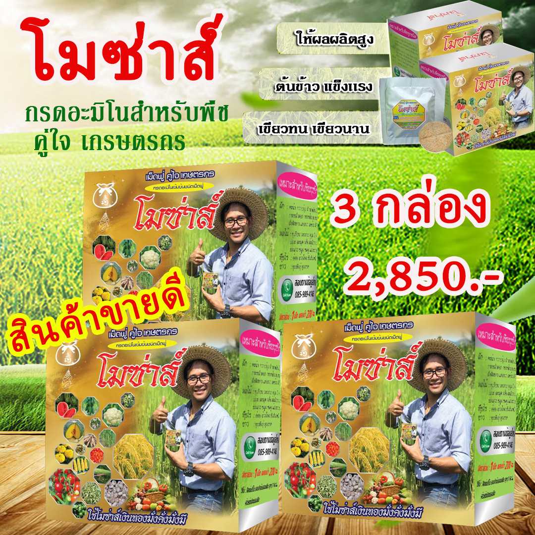 โมซ่าส์ อะมิโนจำเป็น ชนิดเม็ดฟู่