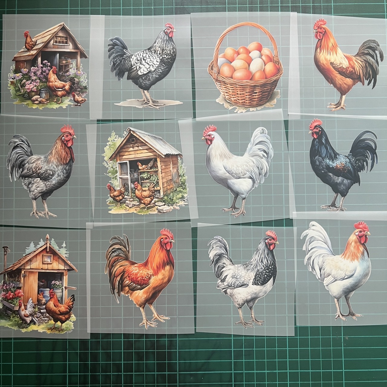 ตัวรีดติดเสื้อ ฟาร์ม ไก่ ฟิลม์รีดร้อน พิมพ์ลาย สติกเกอร์รีดติดเสื้อ สกรีนลาย ฟิลม์ DFT DTF