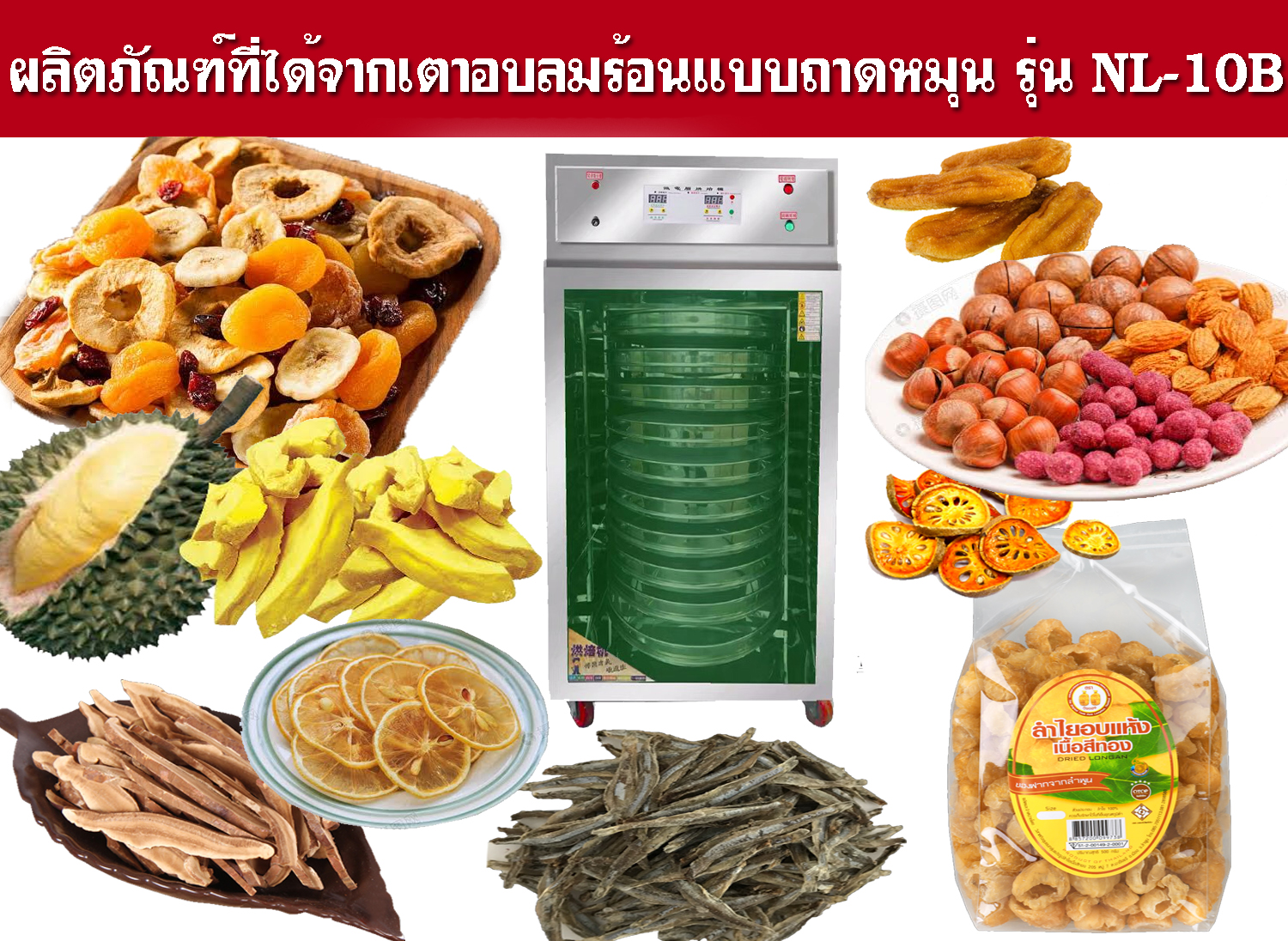 เตาอบลมร้อนราคาถูก ราคากันเอง ราคาโรงงาน