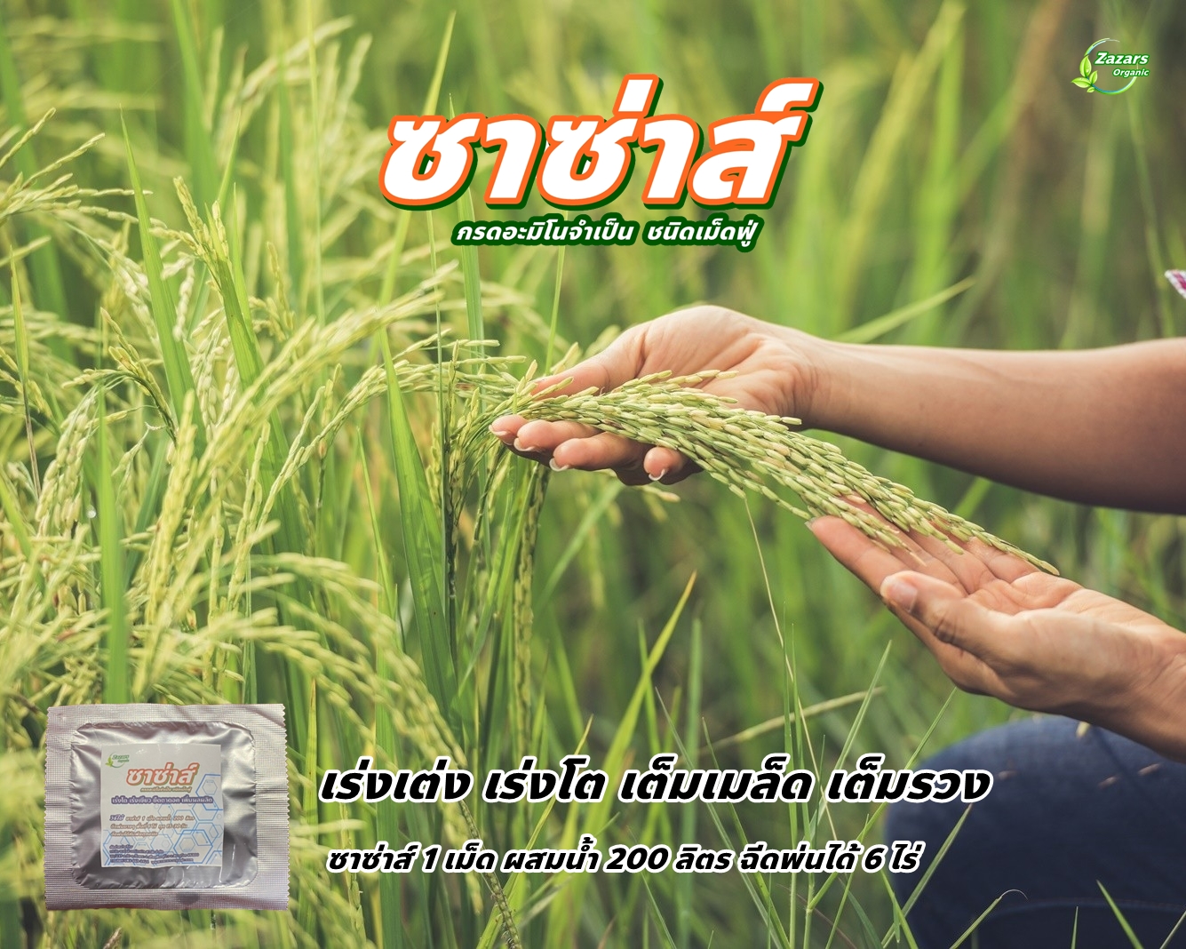 ซาซ่าส์ อะมิโนเข้มข้น ชนิดเม็ดฟู่