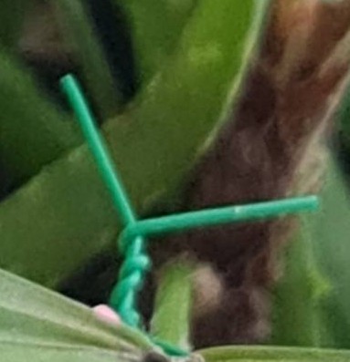 ลวดมัดต้นไม้ ลวดผูกต้นไม้ ลวดขึงสแลน ลวดเพาะชำ ลวดผูกป้าย ลวดบอนไซ ลวดคล้องป้าย ลวดมัดงานเกษตร ลวดลวดมัดสแลน หุ้มแบบกลม-บจก.พลาสติกแอนด์ไวร์โปรดัก WT20-04