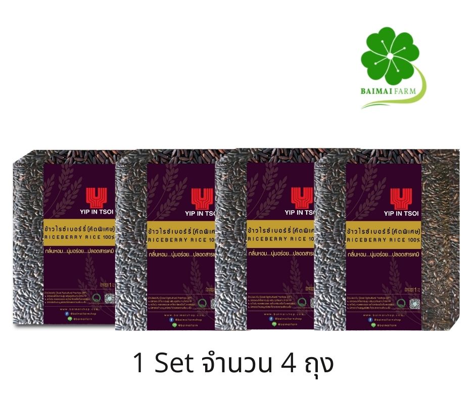 Riceberry Lover ชุดข้าวไรซ์เบอร์รี่ 1 kg x 4 แพ๊ค