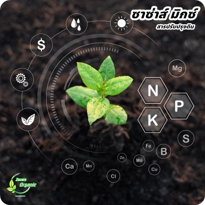 ซาซ่าส์ มิกซ์ (สารปรับปรุงดิน)