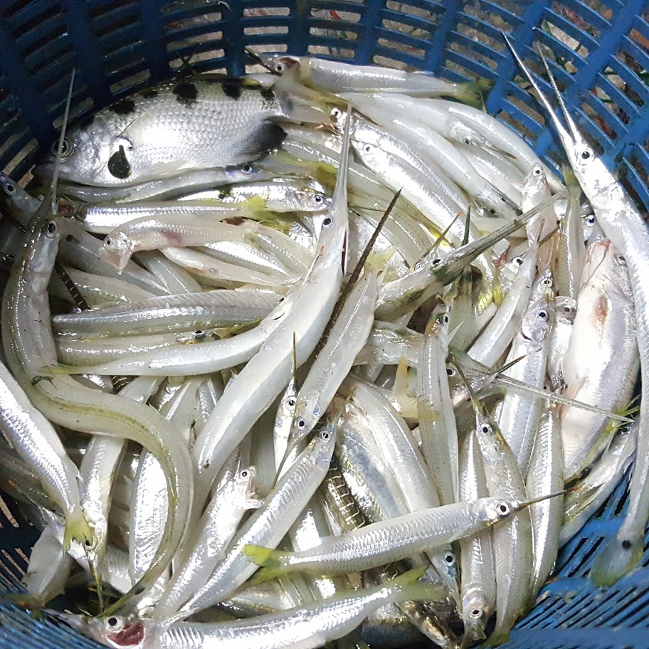 ปลาโทงเลาะก้าง