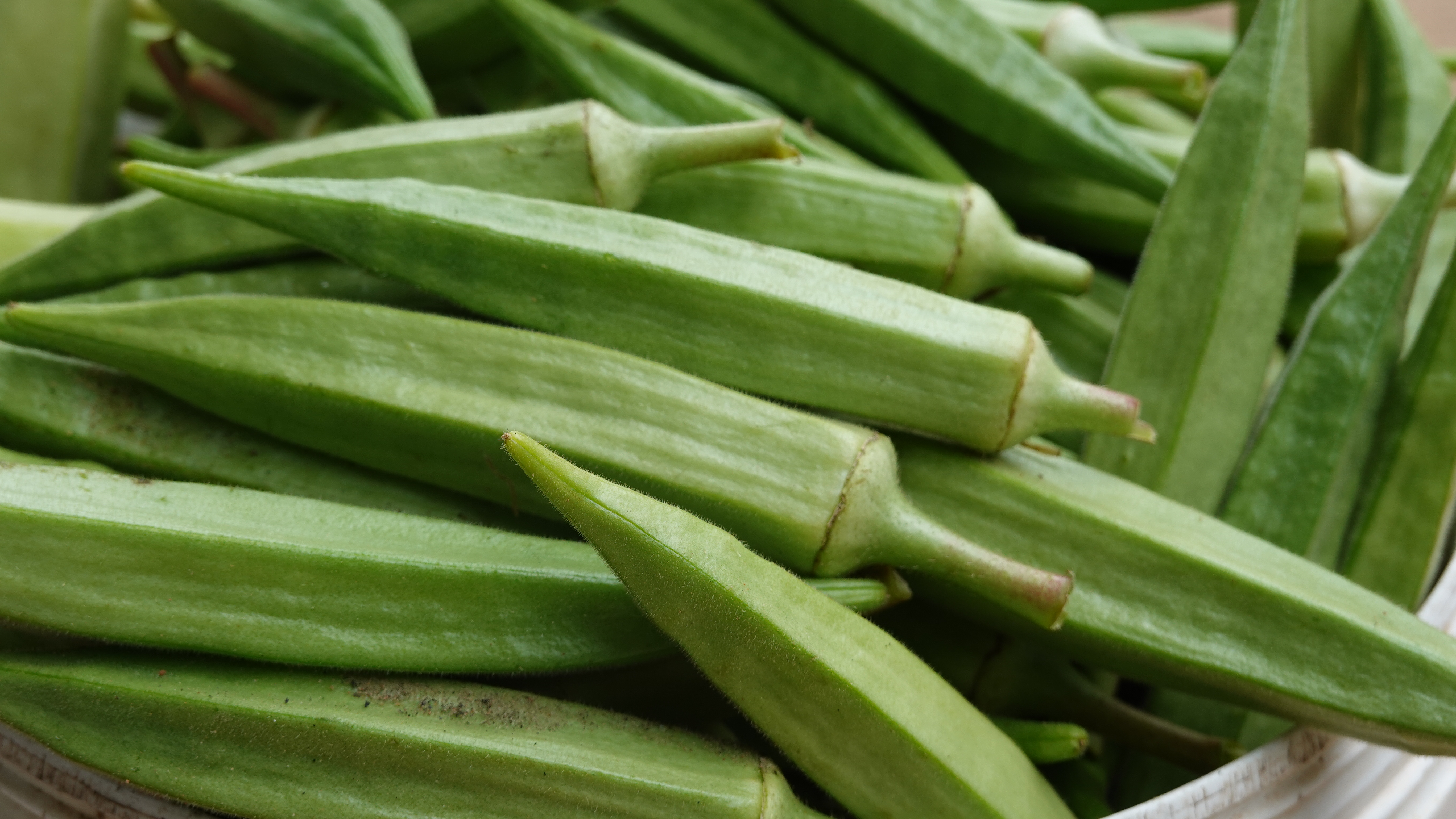 กระเจี๊ยบเขียวอินทรีย์ไร้สารพิษ 500กรัม