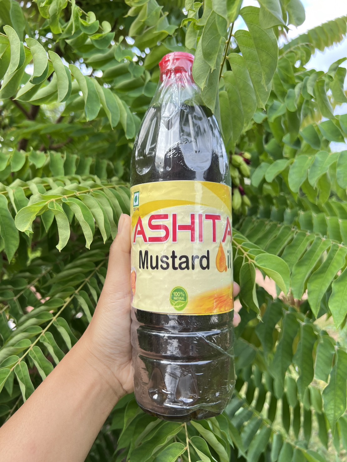 น้ำมันมัสตาร์ด ASHITA ขนาด 1 ลิตร น้ำมัสมัสตาร์ดอินเดีย ตราอาชิตะ