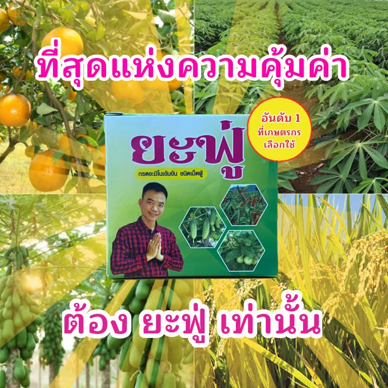 ยะฟู่ กรดอะมิโนจำเป็น สูตรเข้มข้น ชนิดเม็ดฟู่