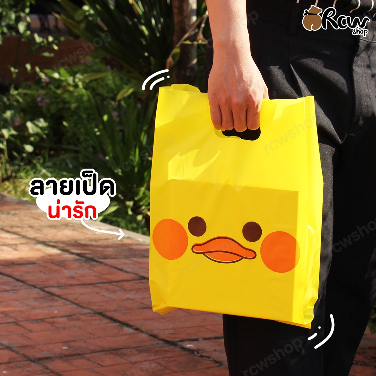 ถุงบูติกเจาะ ลายเป็ด (มีให้เลือก 7 ขนาด)
