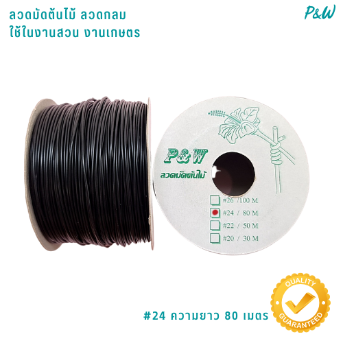 ลวดหุ้มกลม ลวดเคลือบพลาสติกกลม ลวดเคลือบ ลวดมัดต้นไม้ #24/80M สีดำ WT24-002