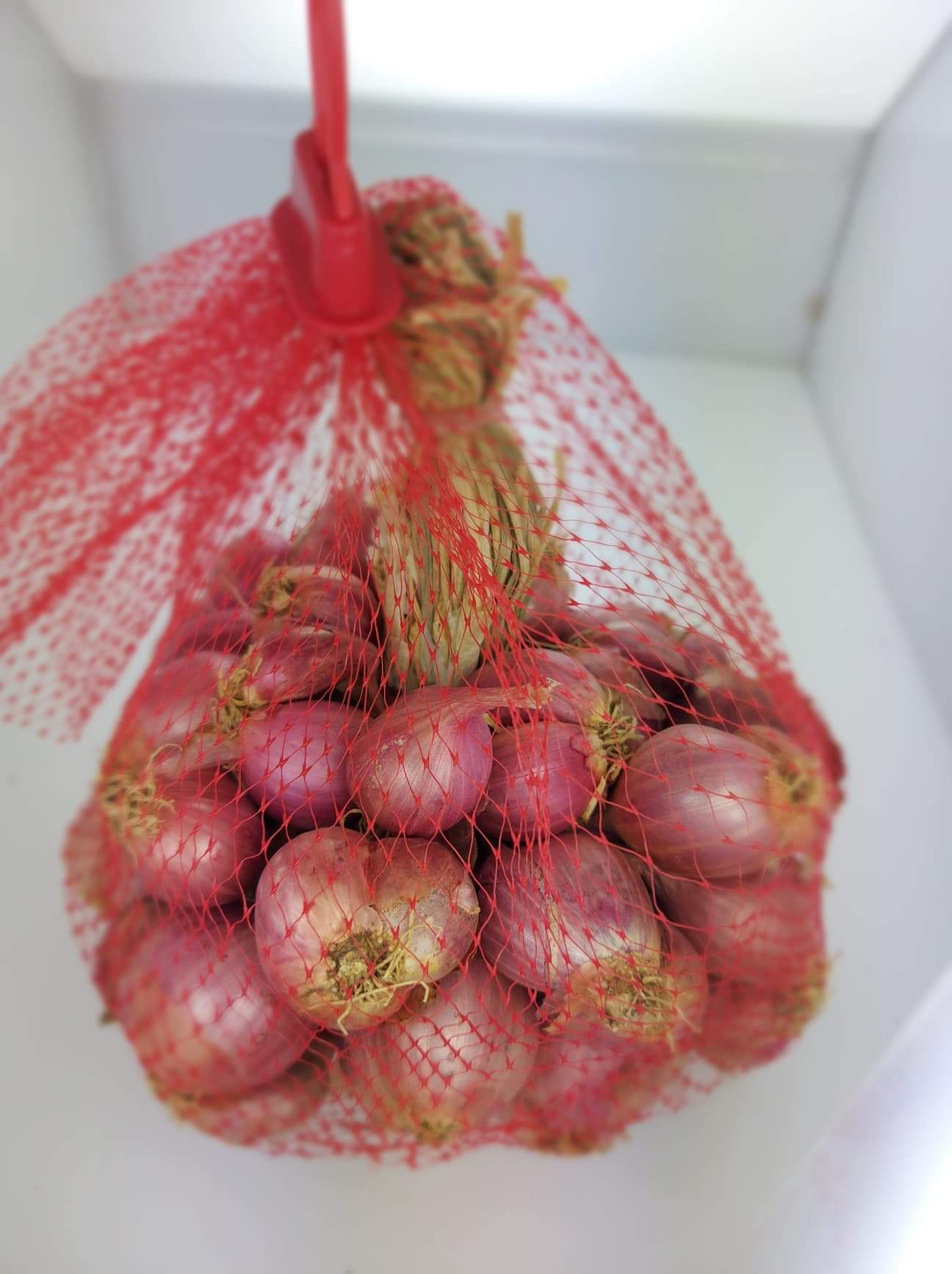 หอมแดง อินทรีย์ (ครึ่งกก.) หอมแดงออแกนิค