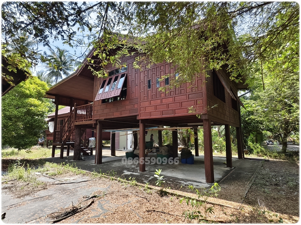 ขายที่สวน พร้อมบ้านทรงไทย 2หลัง ติดน้ำ 3ด้าน มีหิ่งห้อยช่วงค่ำ ใกล้กรุงเทพ เหมาะสำหรับการพักผ่อนยามเกษียณ