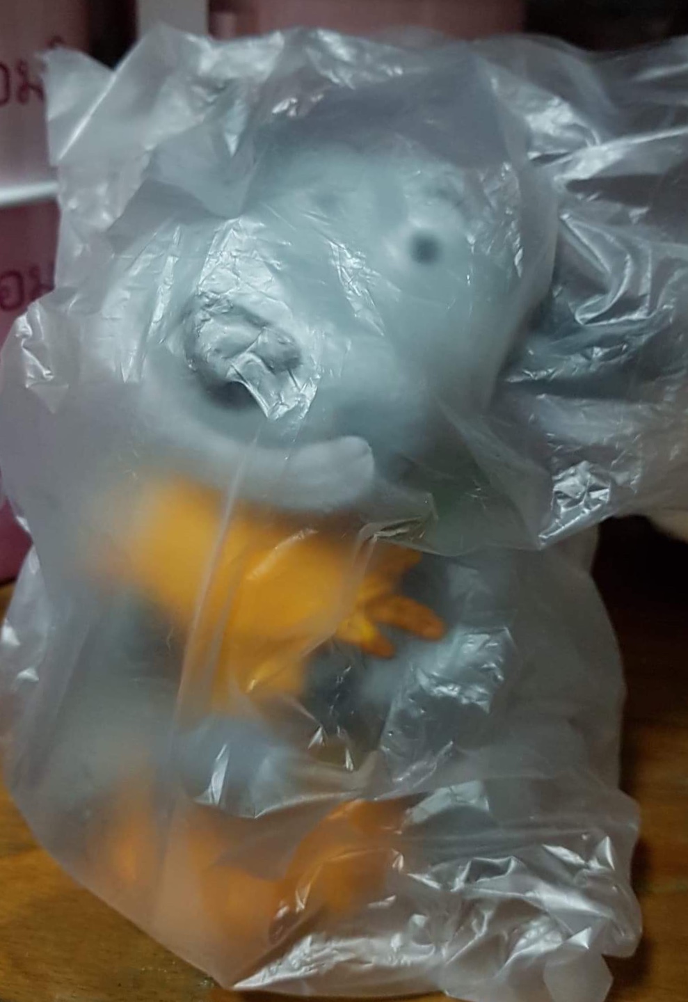 ออมสินเจ้าทุย/ธนาคาร ธกส.