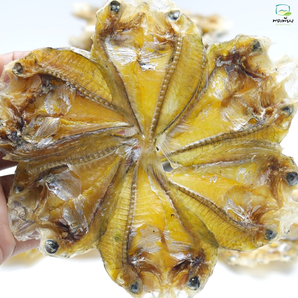 ปลาบุตตรี วงละ 10 บาท / 1แพค 100 บาท