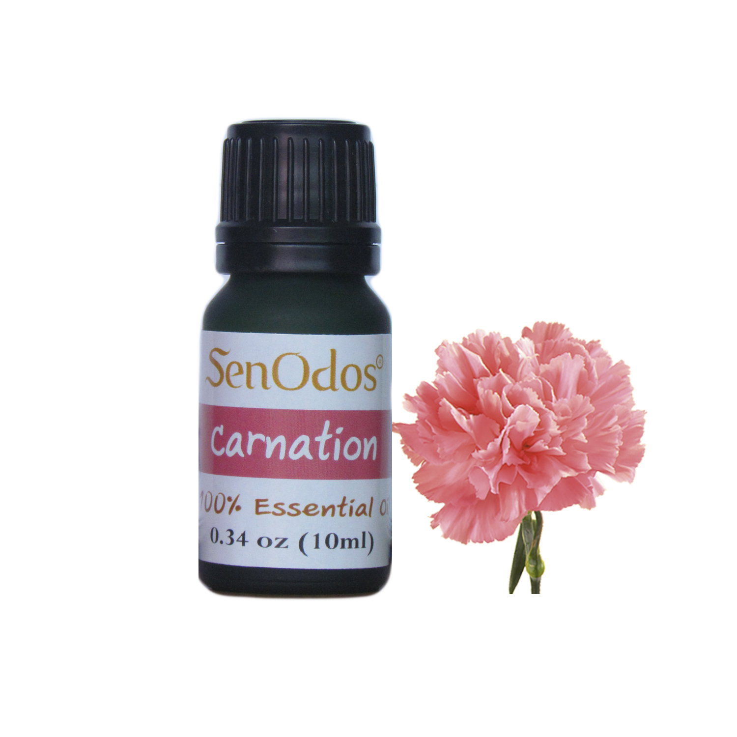 ชุดเซ็ตน้ำมันพร้อมเตาเผา กลิ่นคาร์เนชั่น Carnation Essential Oil 10ml+ เตาเผาน้ำมันหอมระเหย เซรามิค เครื่องปั้นดินเผา เนื้อศิลาดล สีเขียวหยก ลวดลายใบมะกอก และลายน้ำไหลหลากสีสวยงาม (แถมฟรี!! เทียนไขถั่วเหลืองบริสุทธิ์ 15 g. X 2 ชิ้น ราคา 120 บาท)