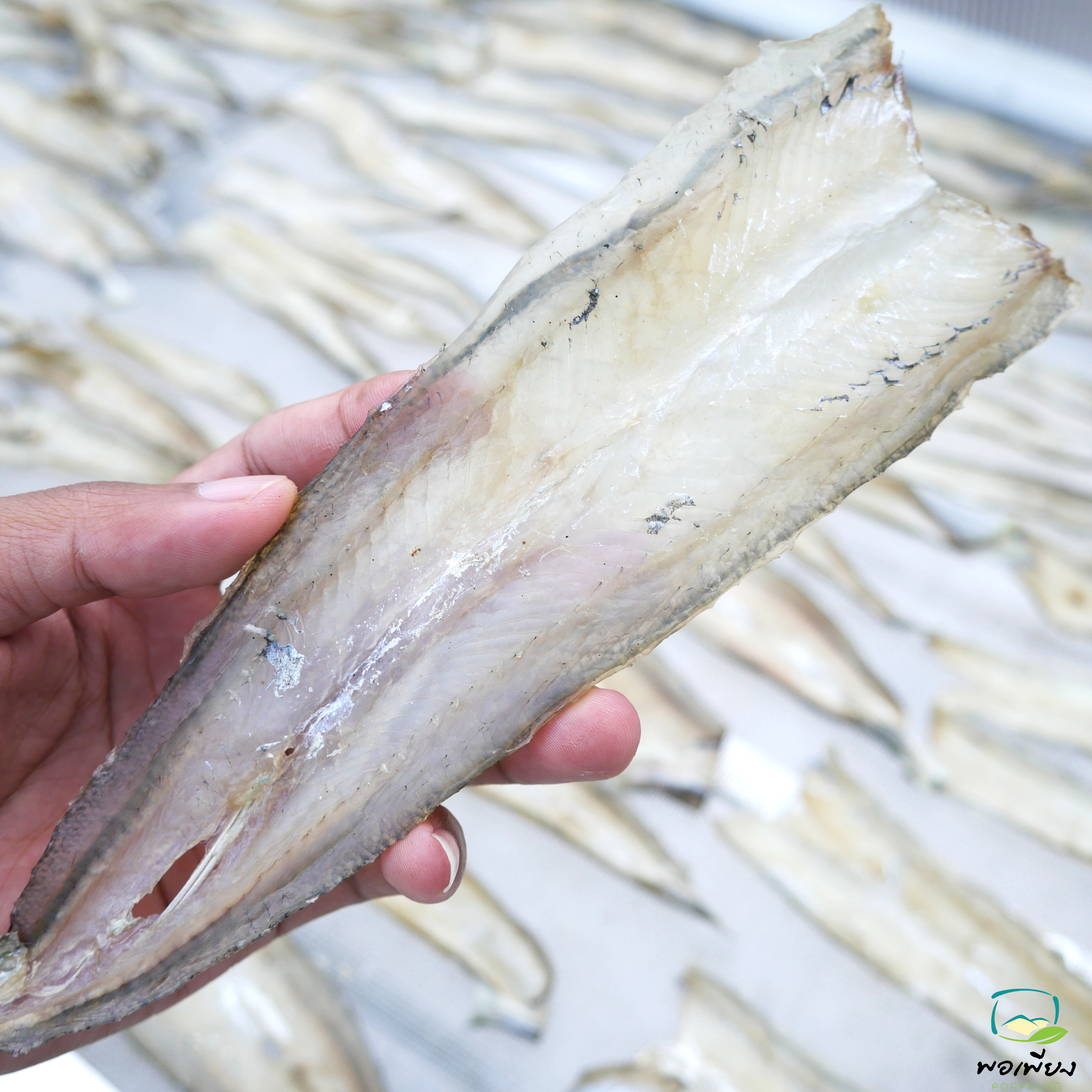 ปลาโทงเลาะก้าง