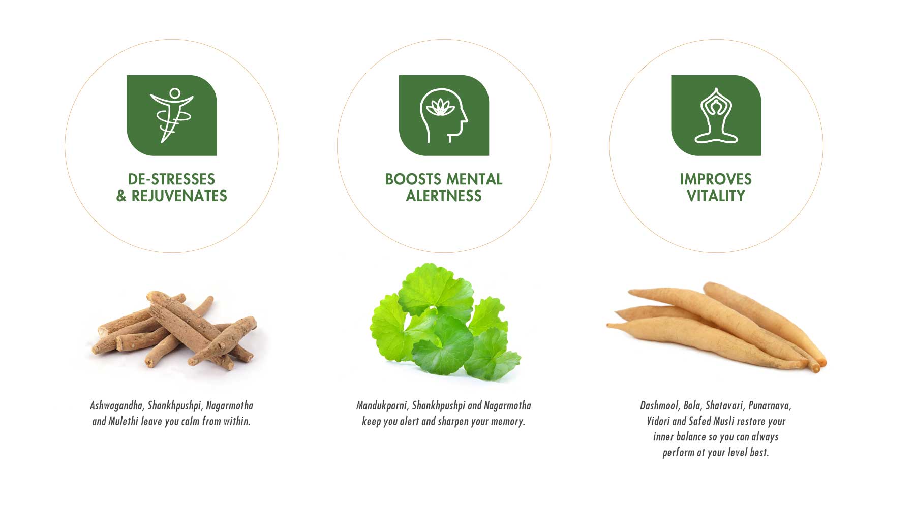 ชเวนปรัสสูตรมหาริชชี่ (แยมมะขามป้อมอินเดีย)