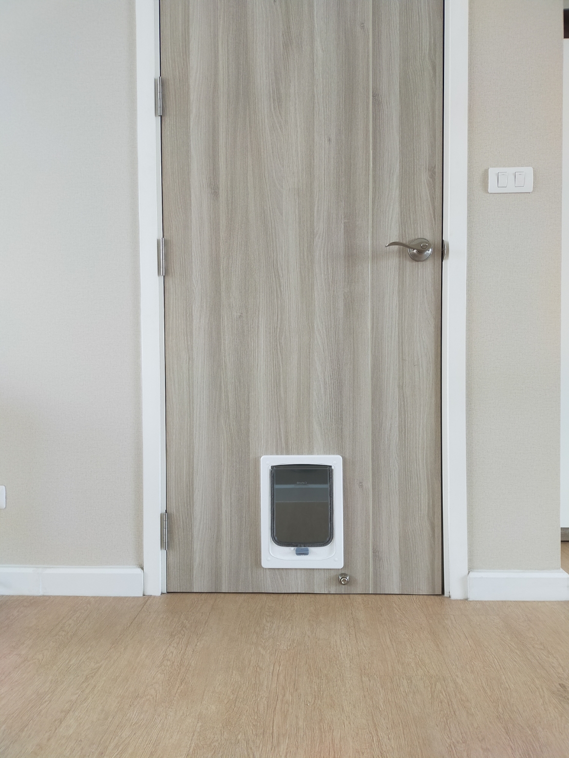 Door for pet ประตูแมว