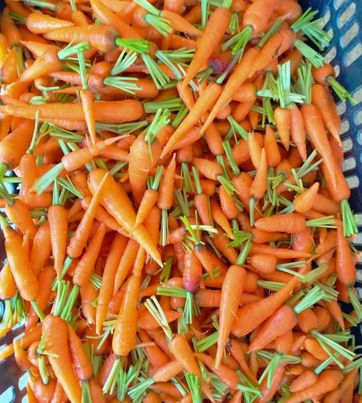 เบบี้แครอท Baby Carrots (ผักสด Sizeขนาดกลาง) บรรจุ 500กรัม