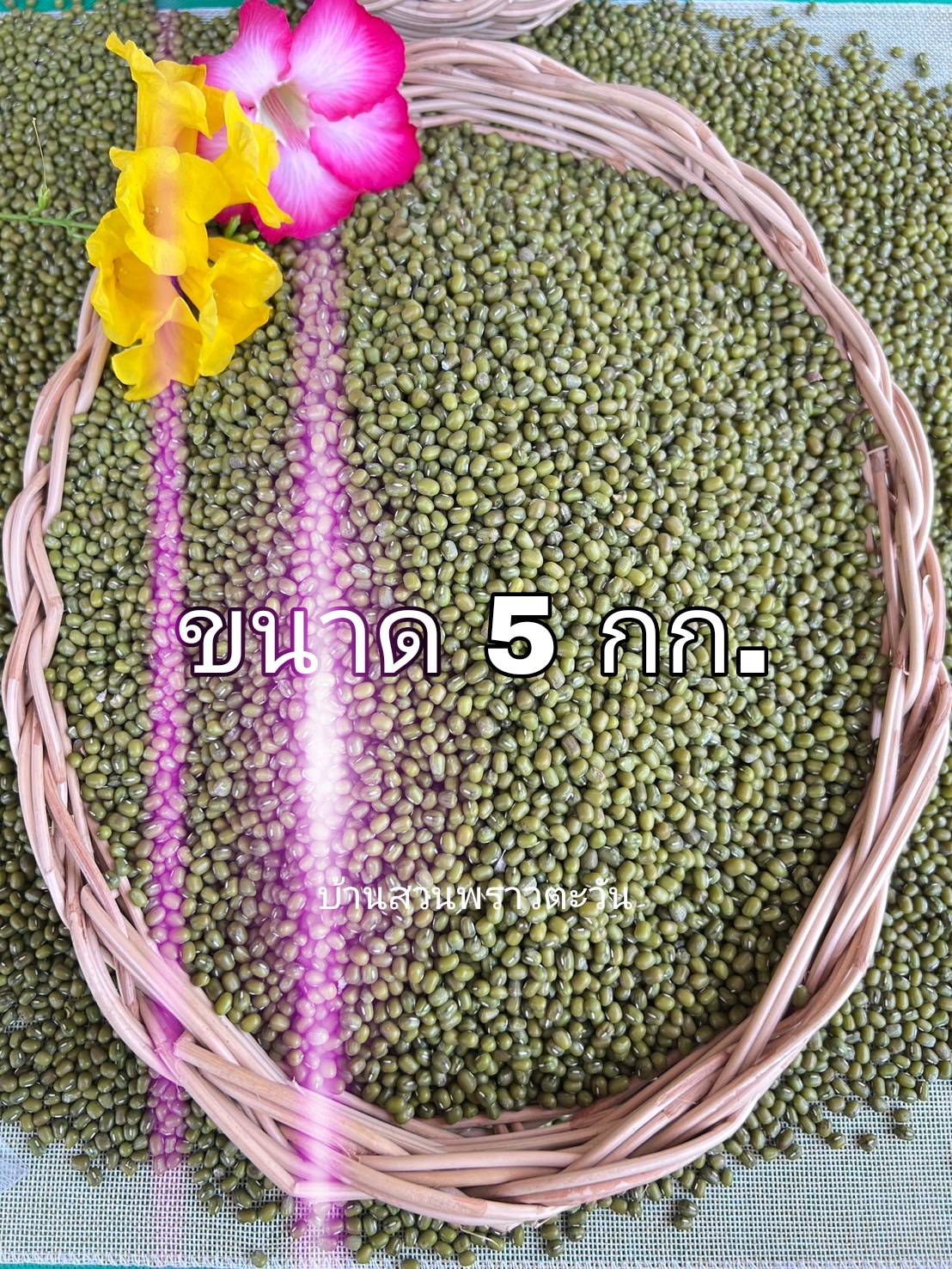 ถั่วเขียว ถั่วเขียวออแกนิค ถั่วเขียวไร้สารพิษ 100%