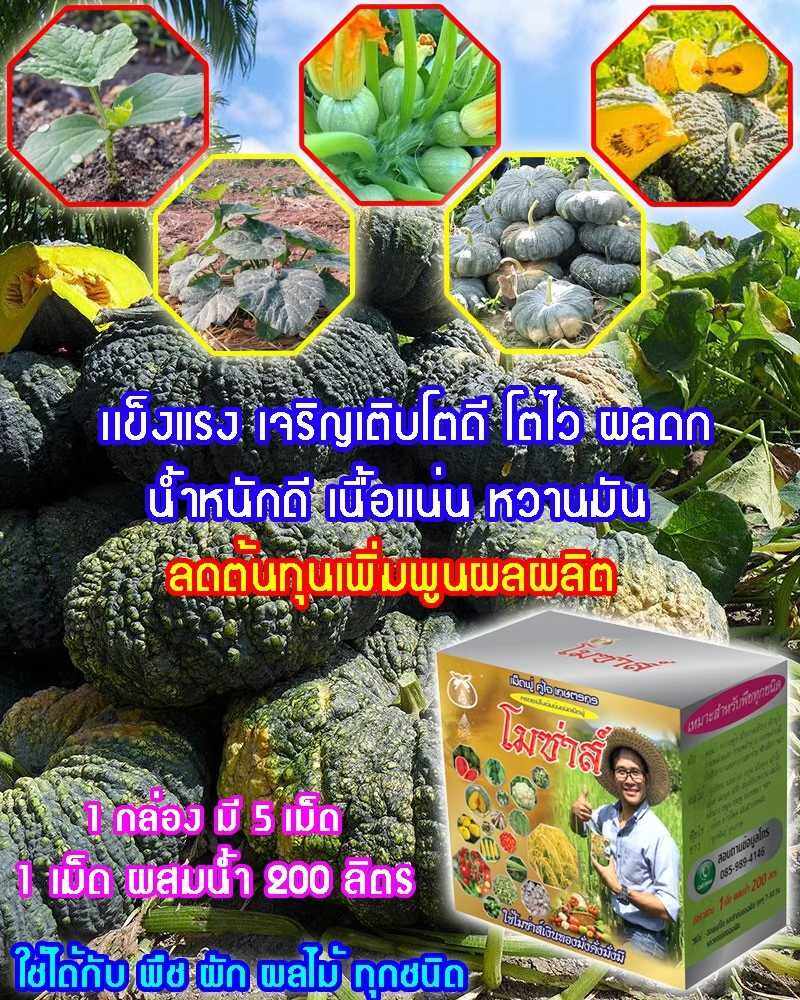 โมซ่าส์ อะมิโนจำเป็น ชนิดเม็ดฟู่