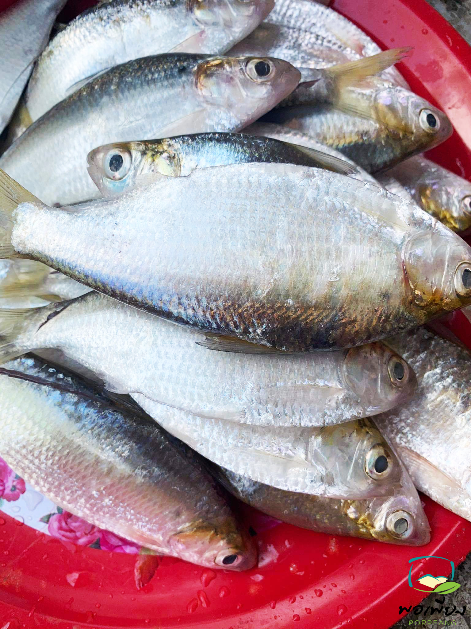 ปลาโคบเส้น 1แพค 150 บาท