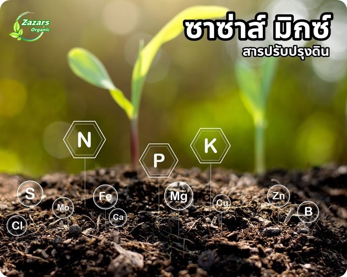 ซาซ่าส์ มิกซ์ (สารปรับปรุงดิน)