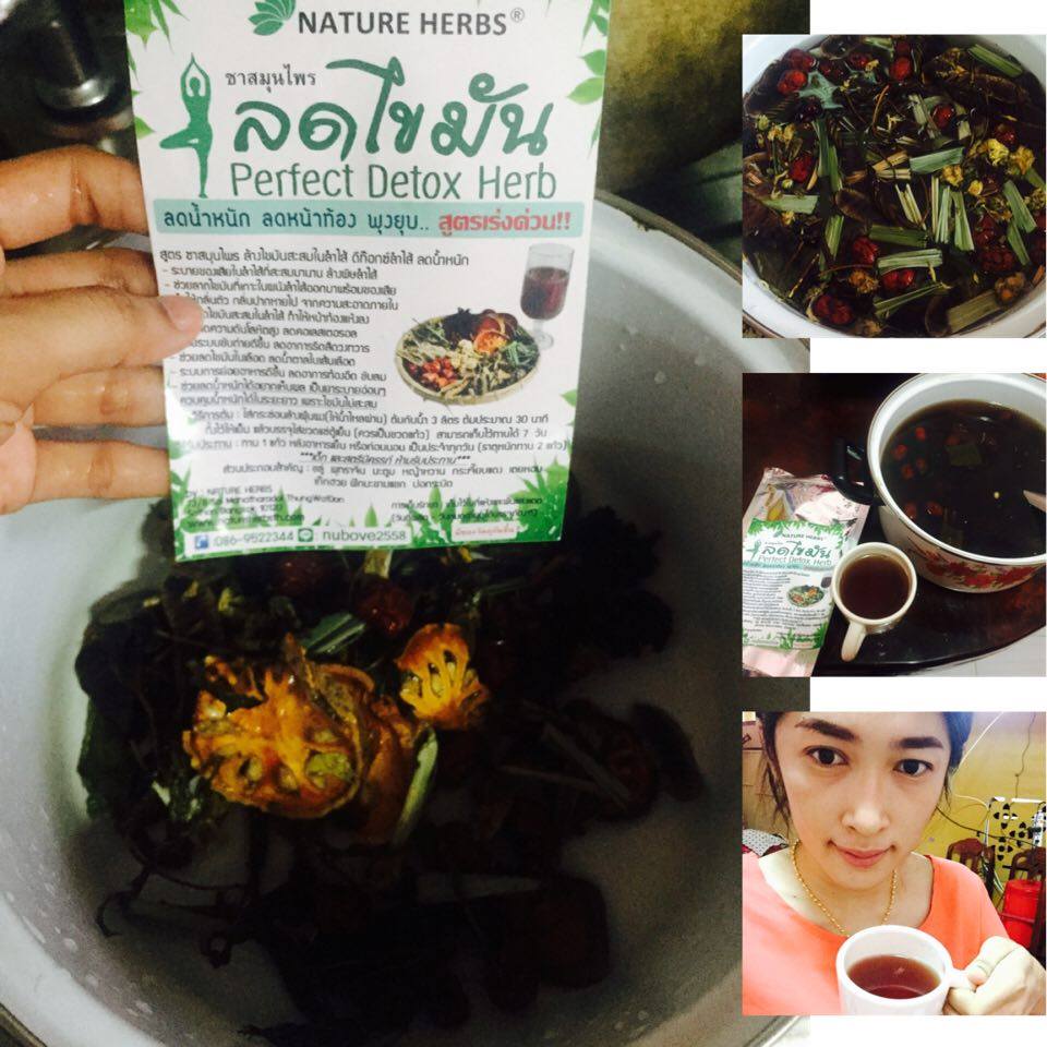 ชาสมุนไพรลดพุง ลดไขมัน Perfect Detox Herb สูตรเร่งด่วน 6 ห่อ (แบบชาต้ม)