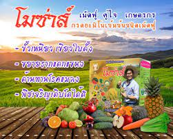 โมซ่าส์ อะมิโนจำเป็น ชนิดเม็ดฟู่