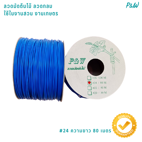 ลวดหุ้มกลม ลวดเคลือบพลาสติกกลม ลวดเคลือบ ลวดมัดต้นไม้ #24/80M สีน้ำเงิน WT24-006