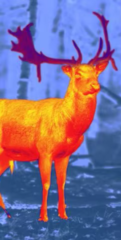 HTI, HT-301, IR Infrared Thermal Imager 384x288, Mobile Phone Thermal Imaging Camera, Thermometer Device for Android Phone Type C,กล้องถ่ายภาพความร้อน,