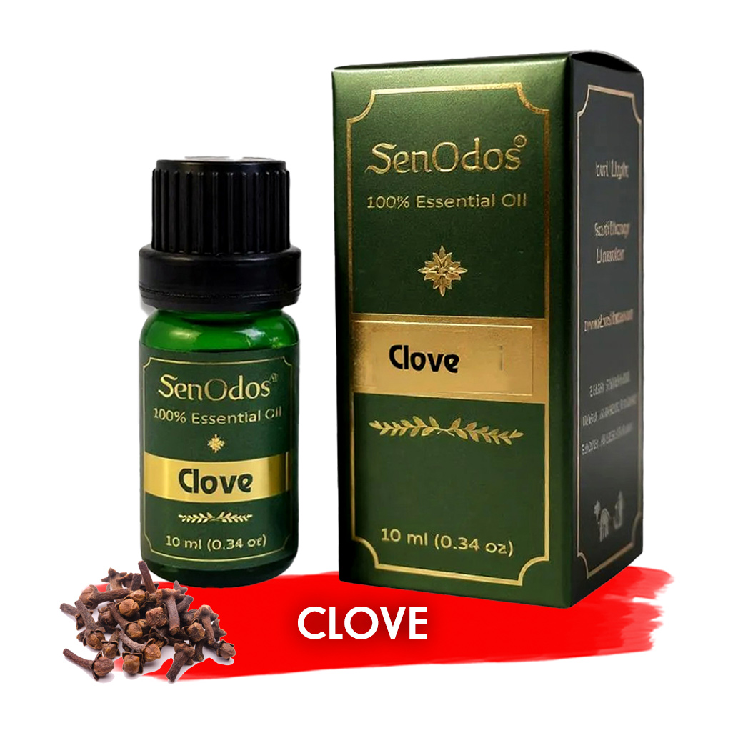 SenOdos น้ำมันหอมระเหยแท้ กลิ่นโคลฟว (กานพลู) Clove Essential Oil 10ml