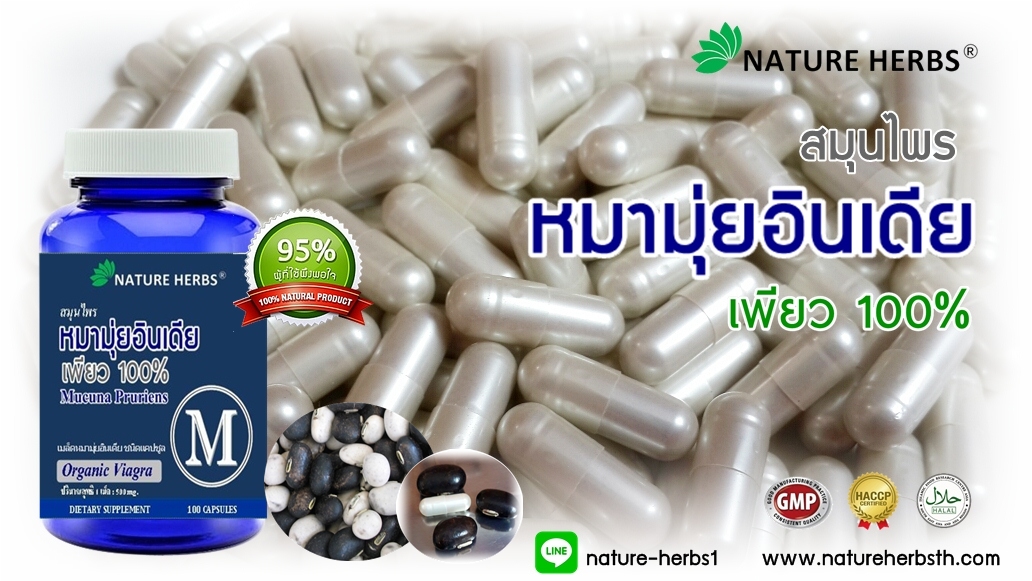 สมุนไพรหมามุ่ยอินเดียแคปซูล 1 ขวด แถม!! หมามุ่ยอินเดีย ขนาด 30 เม็ด 1 ห่อ