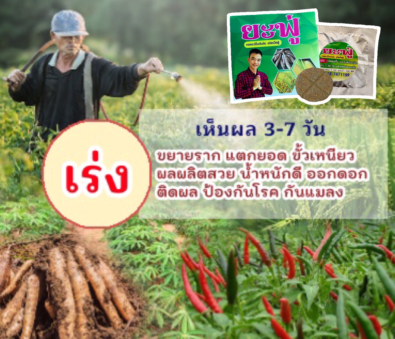 ยะฟู่ กรดอะมิโนจำเป็น สูตรเข้มข้น ชนิดเม็ดฟู่