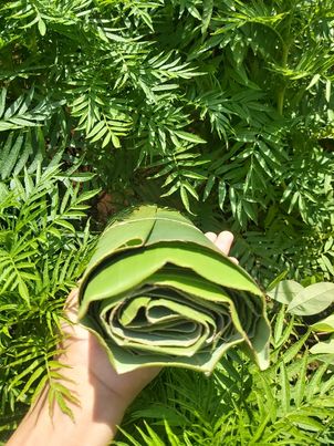 ใบตองกล้วยป่า (นุ่มนิ่ม) 200 กรัม