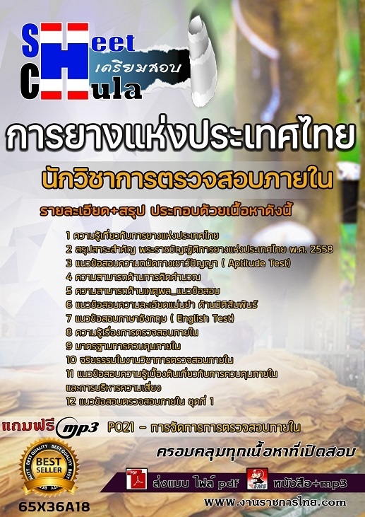 เเนวข้อสอบนักวิชาการตรวจสอบภายใน การยางแห่งประเทศไทย (กยท.) 2565