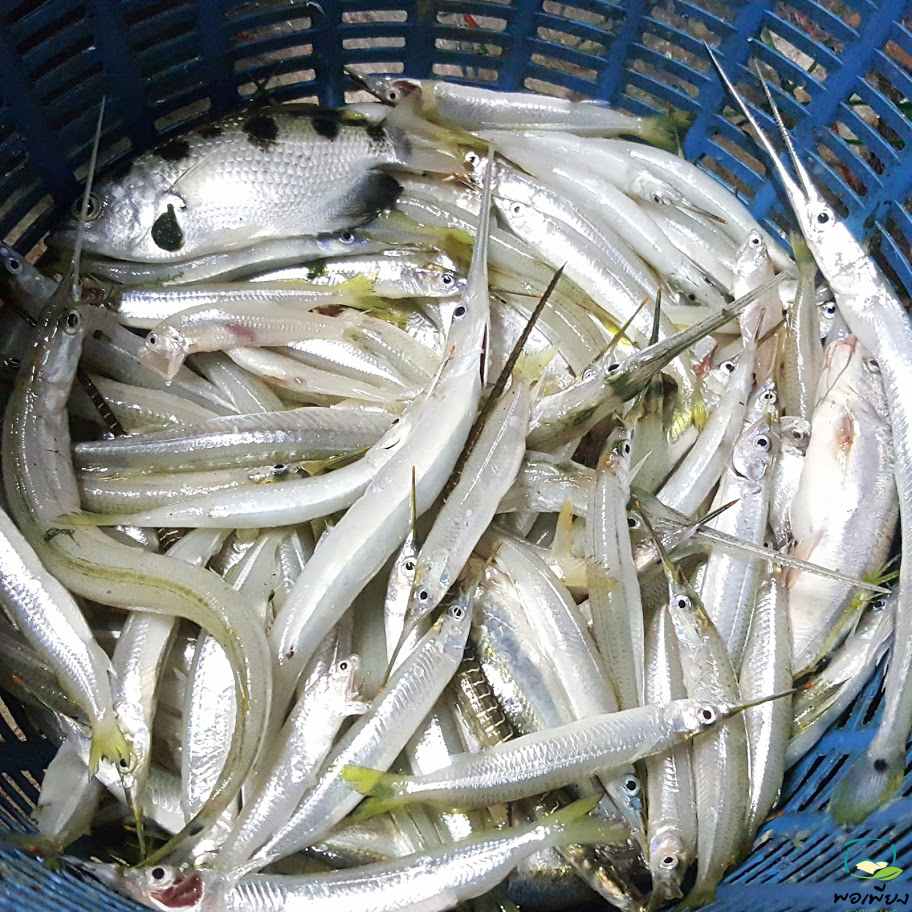 ปลาโทงเลาะก้าง