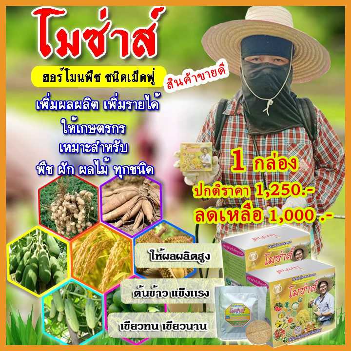 โมซ่าส์ อะมิโนจำเป็น ชนิดเม็ดฟู่