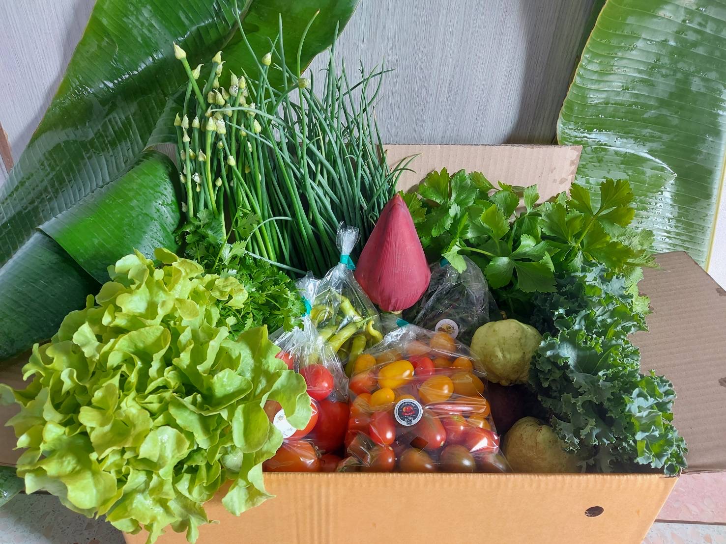 กล่องสุ่มผักอินทรีย์ ชุดเล็ก (ฟรีค่าจัดส่ง)